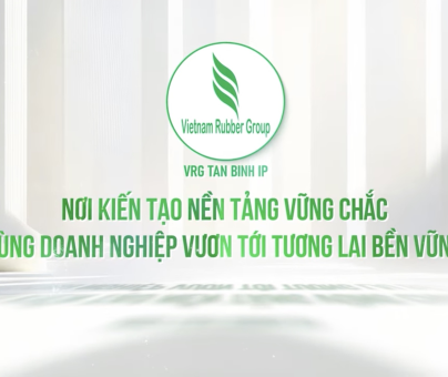 Giới thiệu VRG Tân Bình 2026